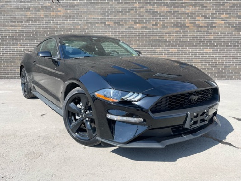 2022 FORD Mustang 4 Cylinder RWD - Get Auto Finance